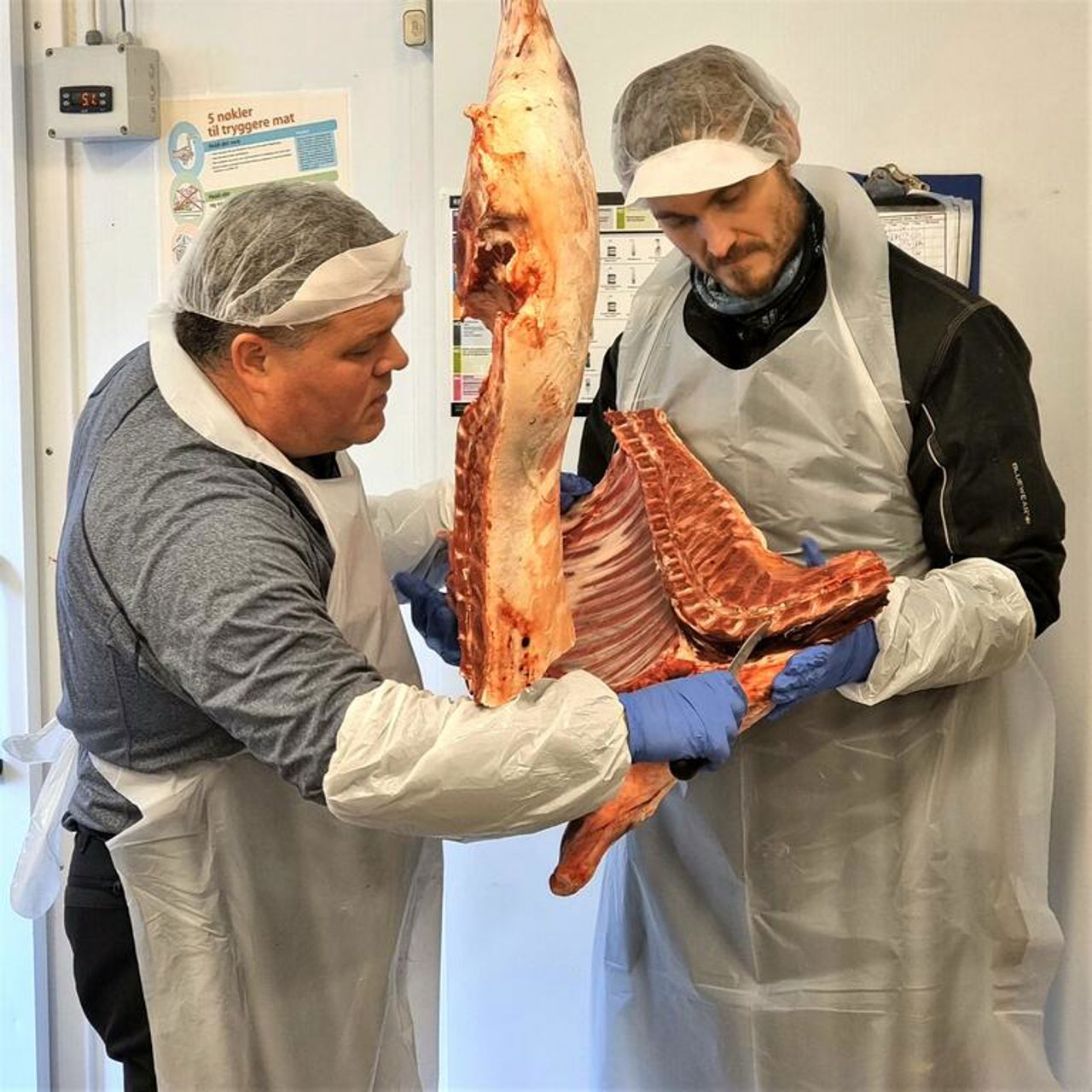 Matproduksjon ved Mo